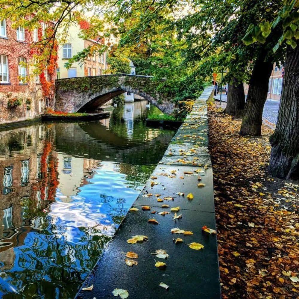 Guesthouse Dijver - Serene Escape In The Heart Of Historic Brugge Kültér fotó
